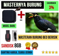 Masteran Burung Beo Suara Gacor - Speaker Mini T5 USB 16GB Sandisk Bonus Isi MP3