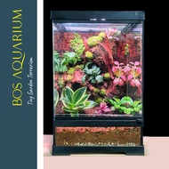 Bos Aquarium Full Set Tiny Garden Terrarium with Tank , Light & Scape 30 X 30 X 45 cm