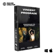 Vincent Color Film Cinematic PowerGrade Kodak 5207 and 5219 Emulation V2[ MICHIGO STUDIO ]