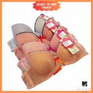 ALOHA Clearance Bra Cup A Size 34-38 Women Comfortable Bra Baju Dalam Wanita Normal Padded Bra