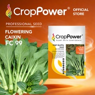 HOT ITEM🔥 (50 GRAM) Biji Benih Sawi Bunga Hongkong Shangrila 香格里拉 FC99 CROP POWER Flowering Caixin s
