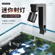 Popular Mini Fish Tank Ready Stocklight Waterproof Splash Lighting Grass Tank Betta Fish Tank Guppy 