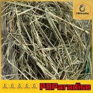 Timothy Hay 3KG rabbit/guinea pig/prairie dog hay