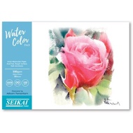 SEIKAI กระดาษสีน้ำ SEIKAI 300 แกรม อ.อดิศร A3