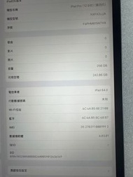 Apple iPad Pro 12.9吋 (第四代)