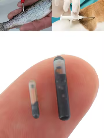 RFID Microchip Animal ID Mini ISO Compliant Pet Cat Dog Transponder Tag With EM4305 Chip For Identif