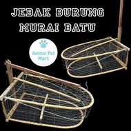 JEBAK BURUNG MURAI BATU