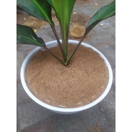 Cocosheet cocofiber round unique plant pot 22cm, 25cm, 27cm, 30cm