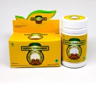 Temulawak Capsules 60 Capsules