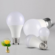 White LED Bulb 2PCS 7W – E27 Super Bright Non-Sensor for Home Garage Corridor Workshop