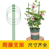 Climbing Vine Flower Stand Plant Support Rod Column Clematis Chinese Rose Flowers Climbing Frame Green Radish Lattice Ga