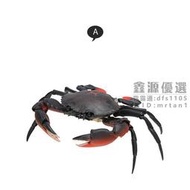 🌟全網低價🌟Bandai萬代扭蛋 螃蟹青蟹 梭子蟹 仿真動物可動模型海洋生物