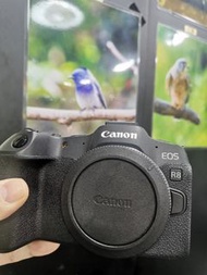 Canon R8 BODY 不是R7, R5, R50 RP R