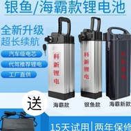 Driving Folding Electric Vehicle 48v Lithium Battery 12ah20ah Large Capacity Silverfish Heba Portabl