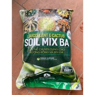 6 kg Soil mix Cactus and succulent substrate Soil mix