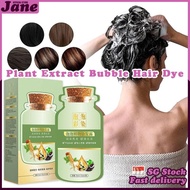 SG STOCK10 bags/box Natural plant extract bubble hair dye shampoo for grey hair coverage Hair colour