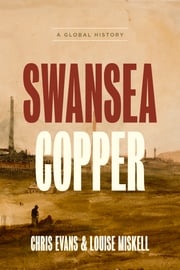 Swansea Copper Chris Evans