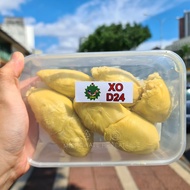 [FREE DELIVERY DAILY FRESH DURIAN] FRESH Sams Durian D24 XO !!!