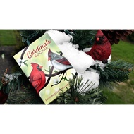 Cardinals Euchre Playing Cards by Midnight Cards CARDSCARDIN_EU