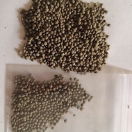 5 ounces of perilla seeds