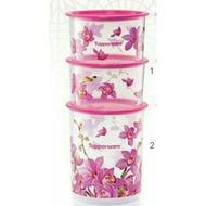 Tupperware One Touch Orchid Elegance