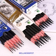 WELLNESSSPOT 12Pcs Drawing Pencils Black Pencils Professional 3B 4B 5B 6B 7B 8B 10B Soft Charcoal Ar