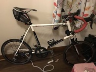 Performer Eclipse 小輪徑公路車
