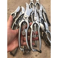 White stainless steel pruning shears Combo