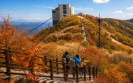Busan: Ice Valley Cable Car & UNESCO Nature Discovery Tour