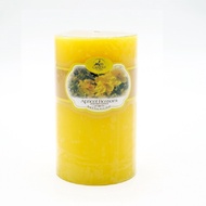 Round scented Candle D5H8 Miss Candle EDC0511 5 x 8 cm (Yellow, apricot scent)