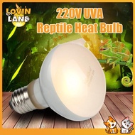 Lovinland sưởi ấm UVA đèn bóng đèn nhiệt Pet brooder gà bò sát thú cưng