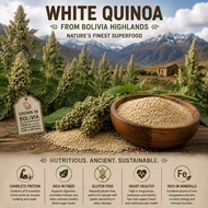 1 Kg (WHOLSALE PRICE INBOX US) ORGANIC WHITE QUINOA ( BOLIVIA ) / QUINOA PUTIH ORGANIC