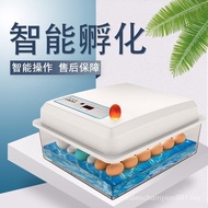 Xinweida Incubator Household Small Egg Incubator Incubator Chick Water Bed Egg Incubator Ludding Incubator
