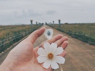 【客製化禮物】夜光單花小繡球單結他撥片 Flowers Guitar Pick