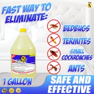 Bedbugs Goodbye Spray 1 Gallon Natural Bedbugs Killer ( Pamatay Surot ) Safe and Effective Mint Scen