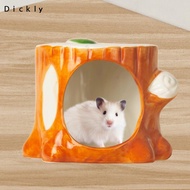 Dickly Hamster in Hamster Hamster Habitat Outdoors, Decorative, Small Animal Cave, Hamster House for