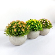 Tanaman Hias Pot Bunga Rumput Soka Bulat Plastik Artificial Ornamen Dekorasi Rumah COD PBP197