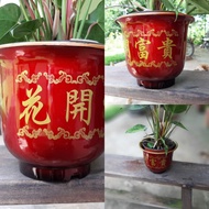 富贵开花 花盆 Pot (Plastic)