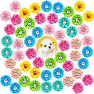 80pcs Riben Bunga Anjing, Riben Rambut Anjing Kecil untuk Perayaan dengan Tali Getah, Campuran Riben