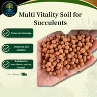 Succulent Vitality Soil 500g Well Draining Cactus Soil Mix Bonsai Soil | 多肉活力土