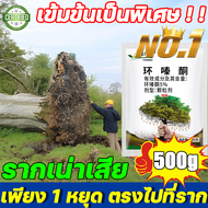 🔥รากเน่ารากตาย ตรงไปที่ราก!!🔥ยาฆ่าตอไม้ ยาฆ่าตอไม้ใหญ่ เข้มข้นสุด 500g เหมาะสำหรับกำจัดวัชพืช ต้นไม้ และไผ่ทุกชนิด ไม่ทำลายดิน ยาฆ่าต้นไม้ใหญ่ ยากำจัดต้นไม้ กำจัดต้นไม้ ยาฆ่าตอต้นไม้ สารกำจัดต้นไม้ ยาฆ่าไผ่ ยาฆ่าไม้ไผ่ สารกำจัดกอไผ่ ยากำจัดต้นไม้ใหญ่