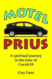 Motel Prius Guy Jason Lane