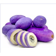 japanese Purple Akebi Fruit seed -Holboellia latifolia-very rare seeds