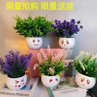 Pot Small Potted Plant Simulation Green Plant Living Room Decoration Bonsai Fake Grass Simulation Fl