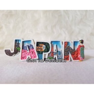 Souvenir FRIDGE MAGNET FRIDGE Sticker JAPAN MAIKO GEISHA FUJI JAPAN