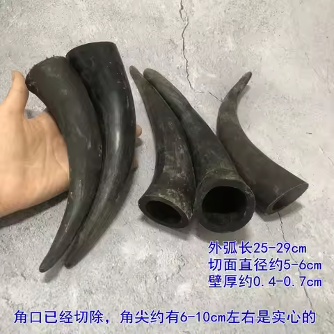 Yak Skull Raw Material Black ox Horn, Hollow segment Material, Cut Off Pointed Hollow Horn Ink, Tibe