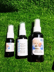 SPRAY IODINE BERKESAN MERAWAT LUKA TERBUKA CERGAH BACTERIA KURAP FUNGUS KUCING / ANJING