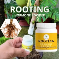 Rooting Hormone Powder – Fix Slow Rooting, Prevent Root Rot, Boost Survival Rate