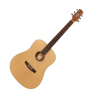 ASHTON D20 Acoustic Guitar