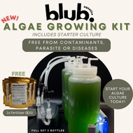 Algae Growing Kit - Aquarium Algae green water Scenedesmus chlorella spirulina for daphnia magna moi